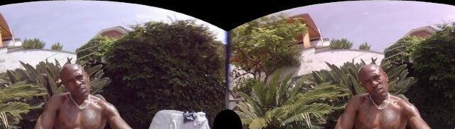 VirtualRealGay.com - Hot garden