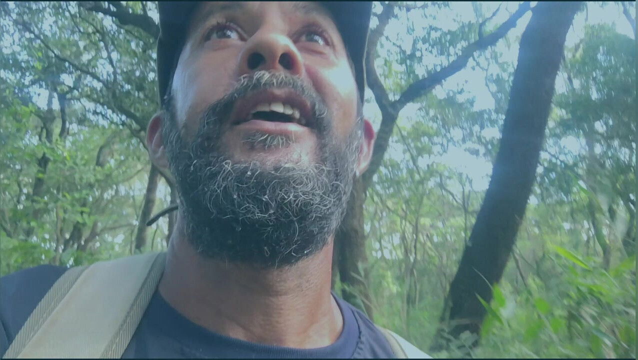 Walking in the woods 2