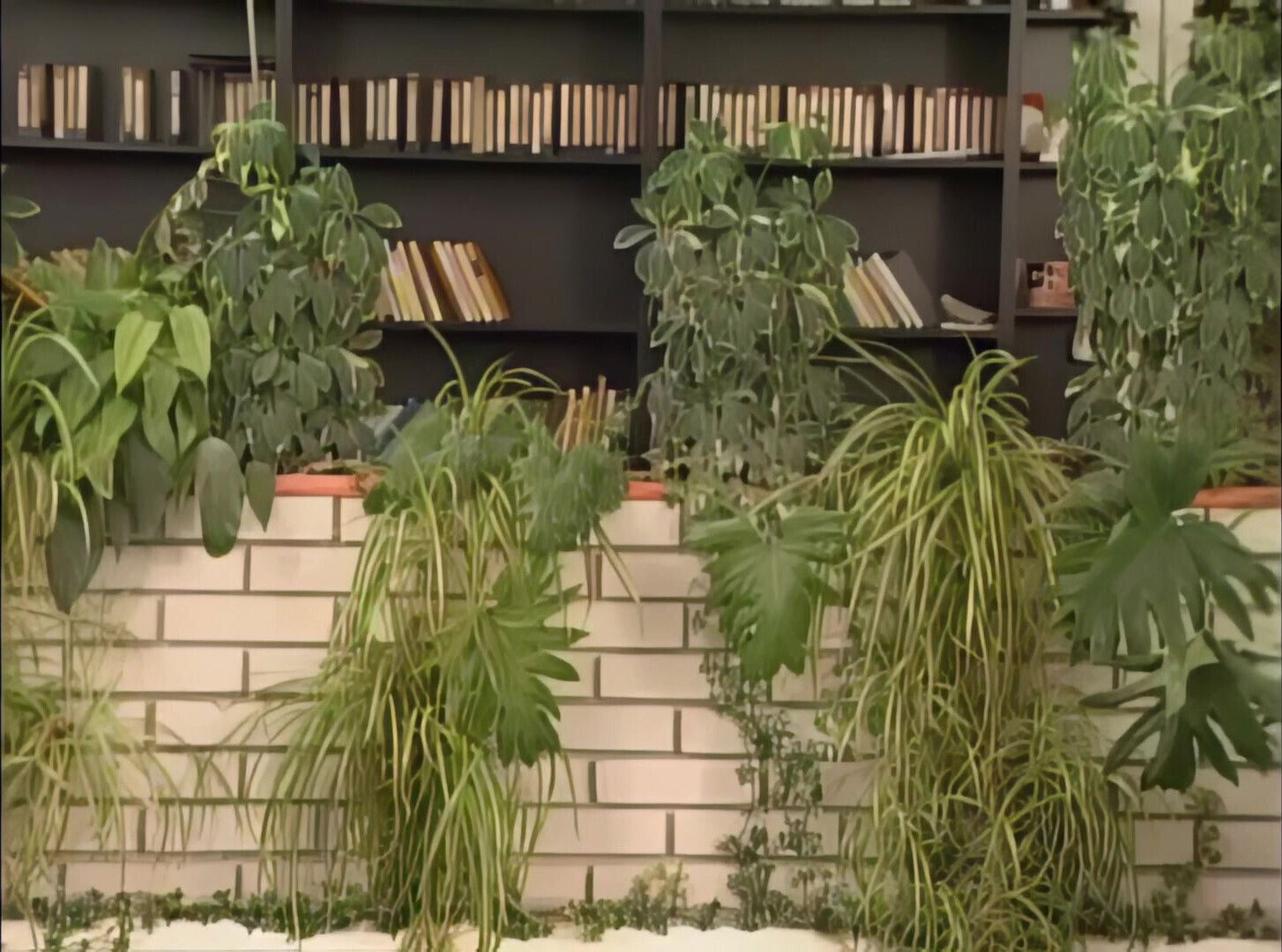 Me,she and His Dick!!!