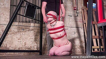 Bald Eryn Rose suspension bondage whipping