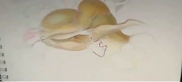 Cubby Da Porn Hubby I will be your hubby for a video click exclusive chill session