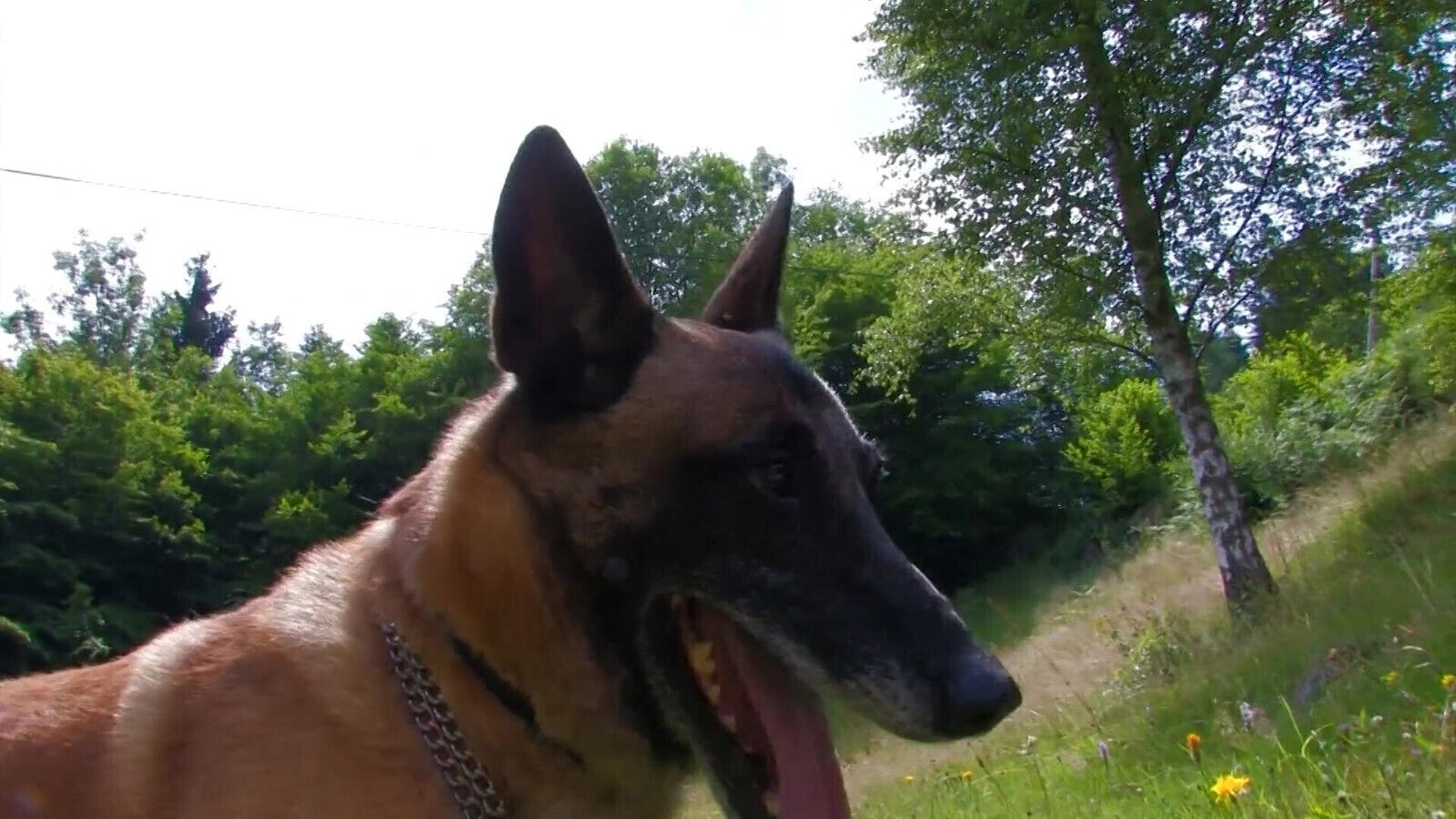 Outdoor anal fuck with horny brunette who likes to be filmed