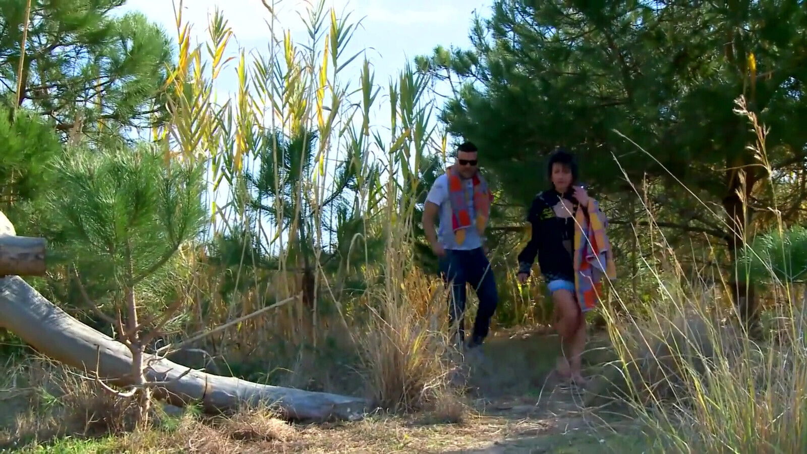 beach bitch and fucked horny at home