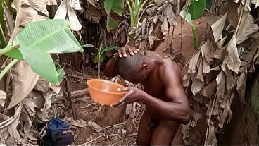 I use my dick strength on a plantain tree