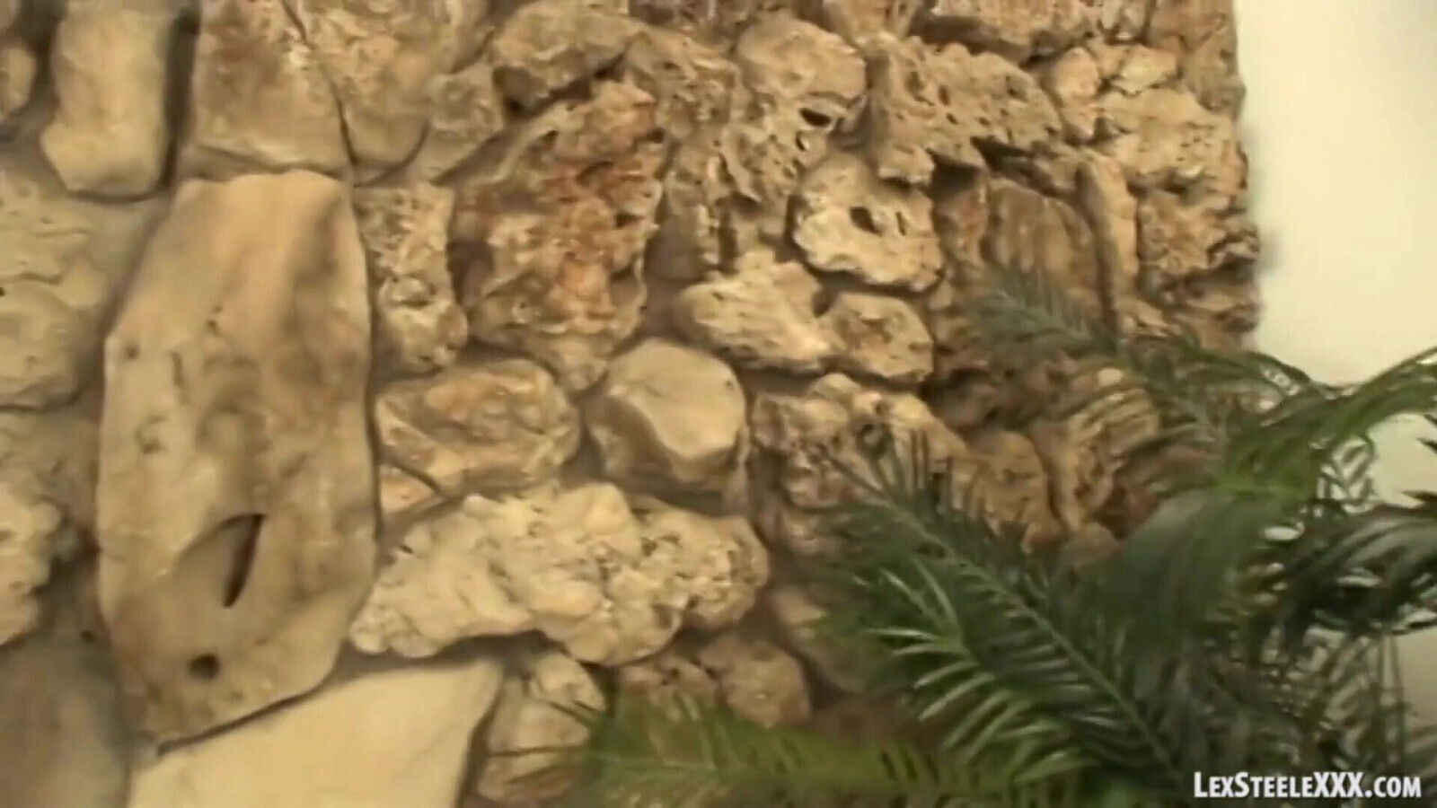 Barbie Cummings Test Drives 1 Inches of Lex