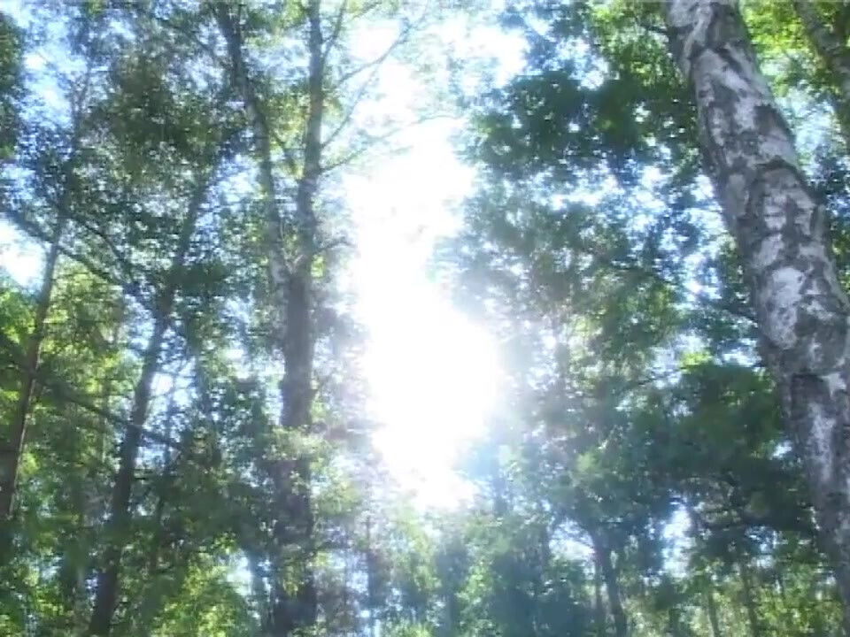 Two Sluts Fucked Doggy Style with Condom Outdoors and Cum in Mouth and on Tits