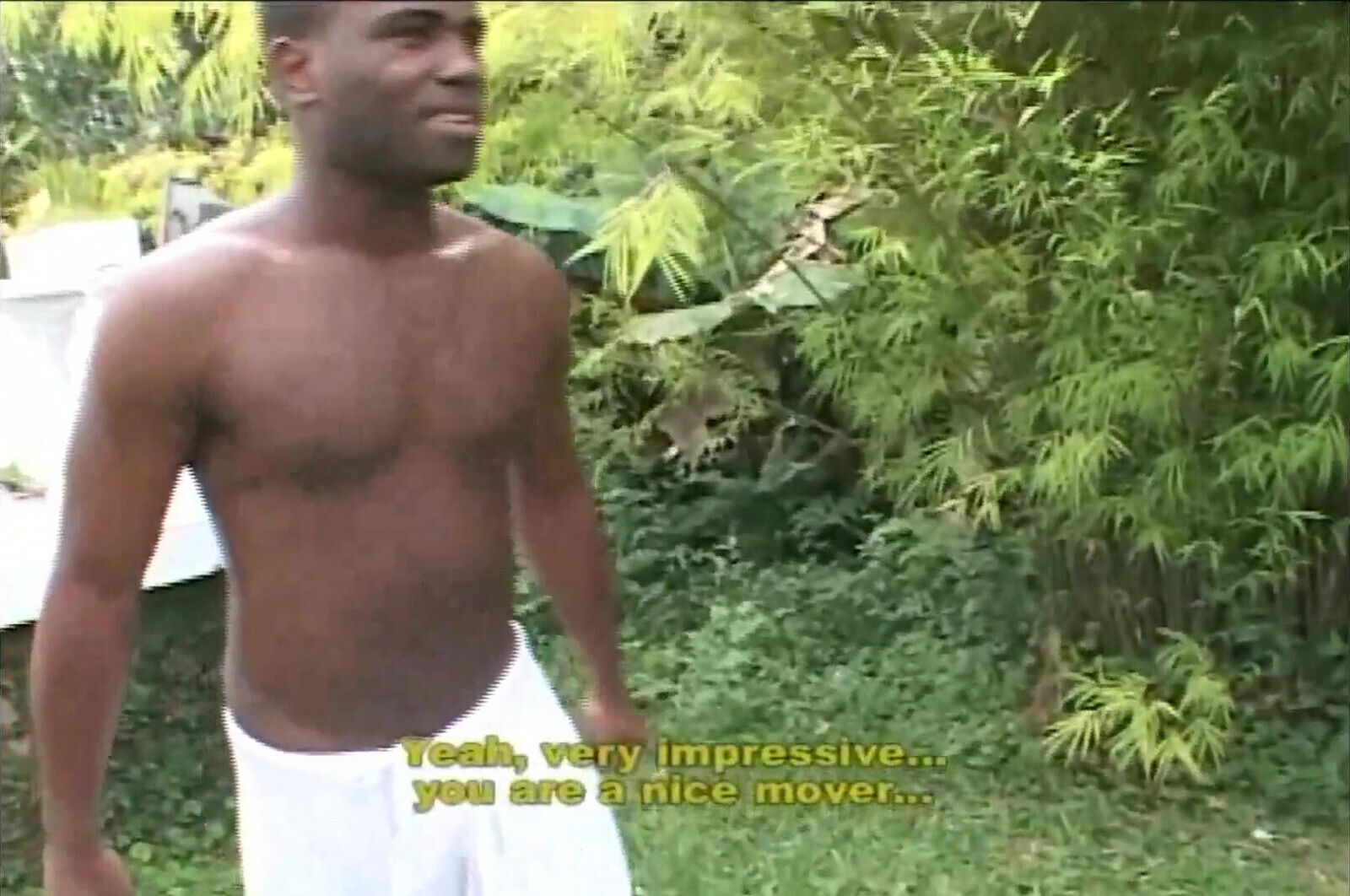 A Very Hard Big Ebony Cock Dick for My Wet Ass Vol 1