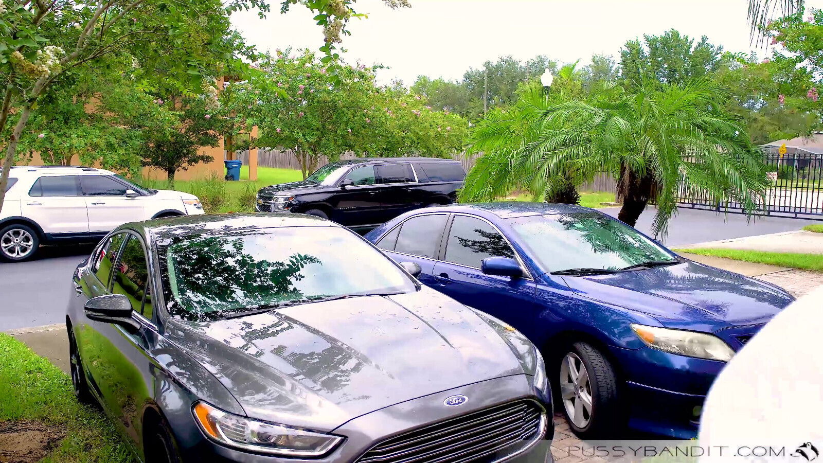 Me and My Pops Bang the School Slut