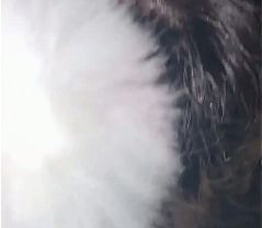 free this little fag wanted to suck my dick in the club, since it was so good I returned the favor