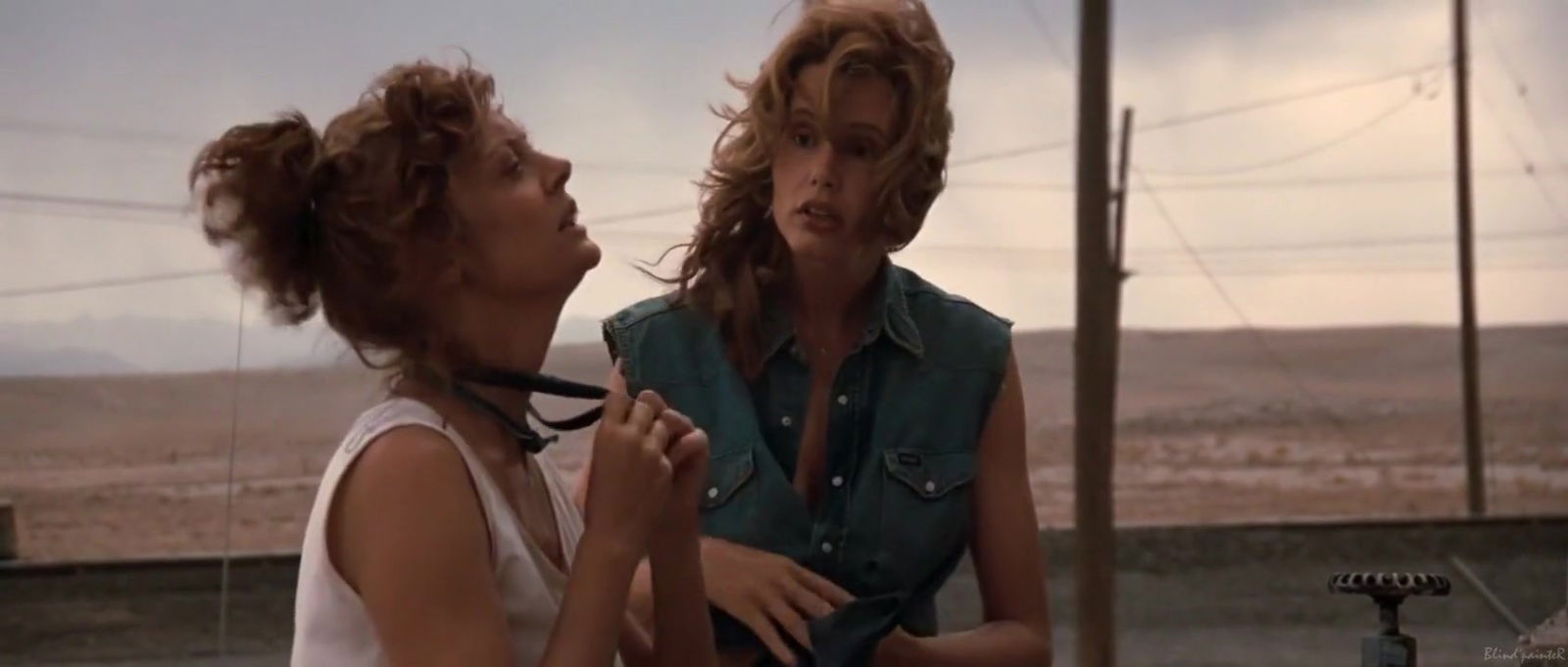 Thelma and Louise (1991) Geena Davis, Susan Sarandon