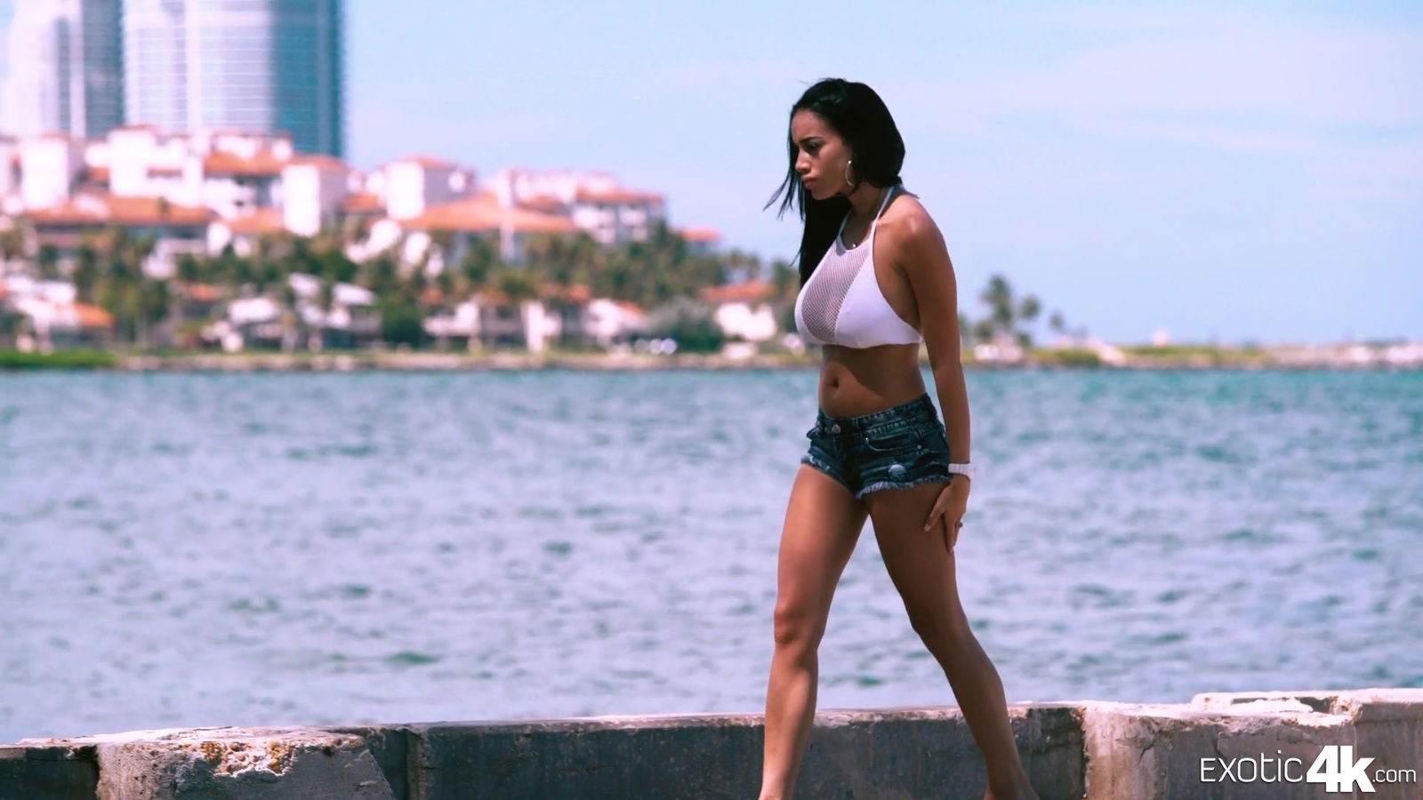 Victoria Vice has found herself a new lover on a vacation