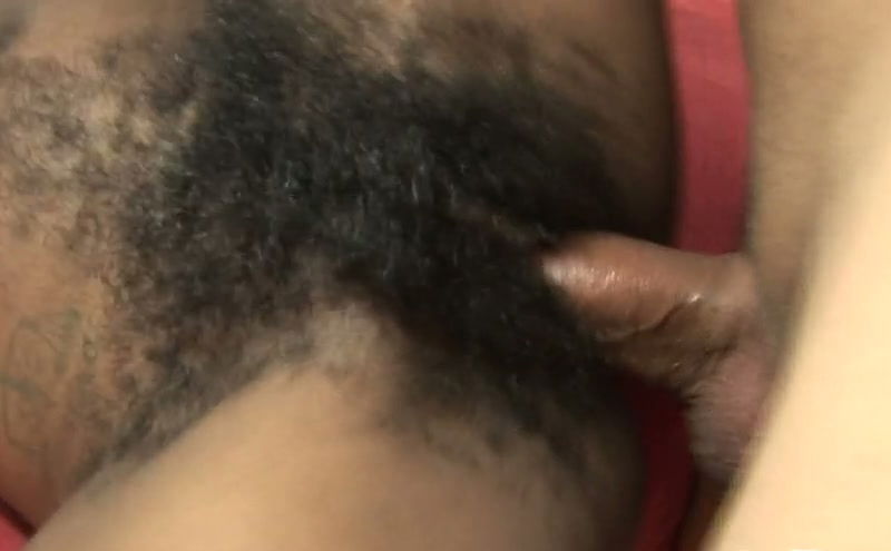 Ebony bitch Jordan Love gets hairy snatch banged