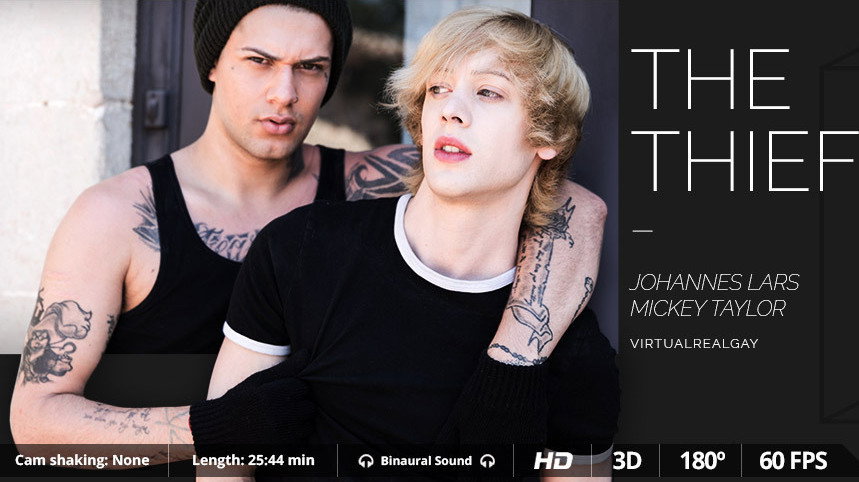 The Thief - Virtualrealgay