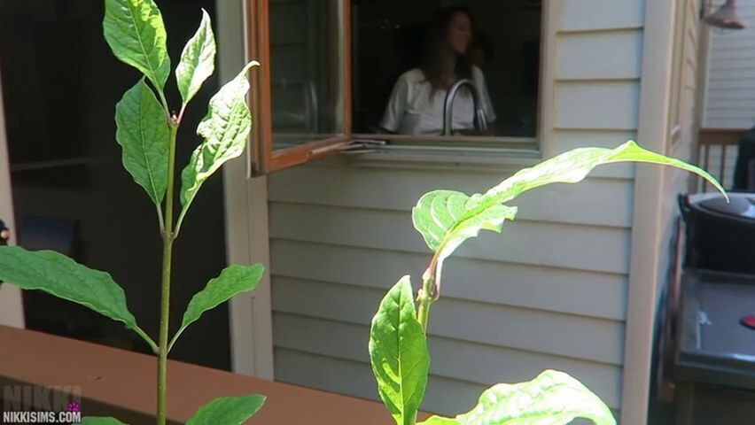 nikki sims - dishwasher creep july 28th 2017