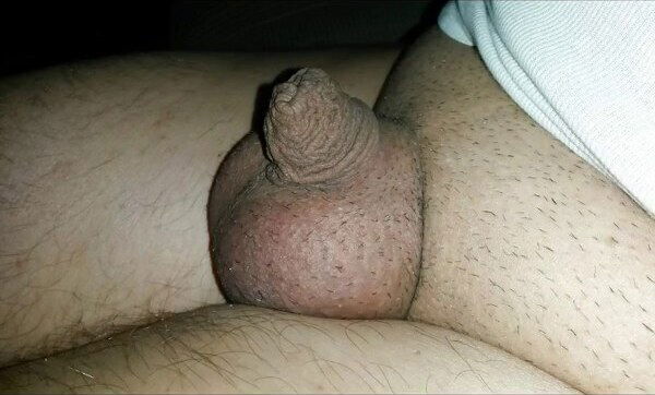 My little dick collection