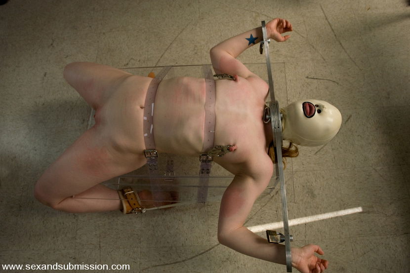 Mark Davis & Madison Young in Human Subject Use - SexAndSubmission