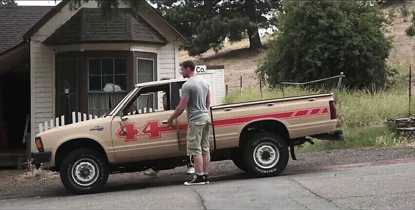 American boys - Bulls and piggies on vacation