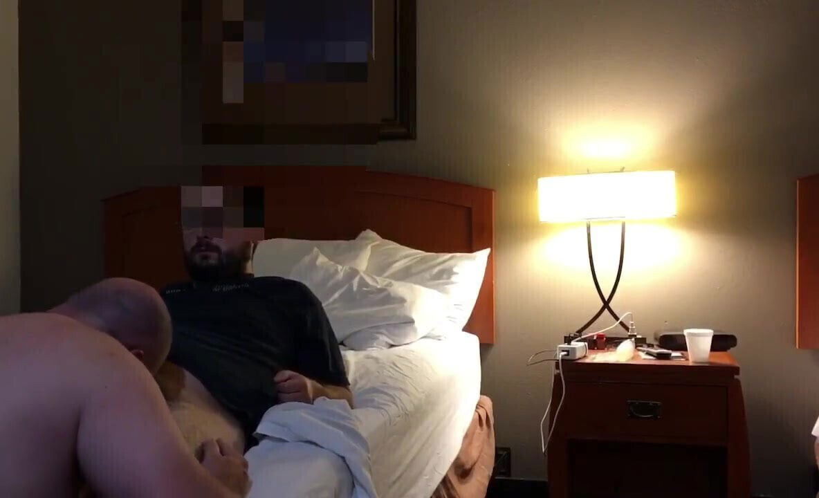 Beautiful bearded bear