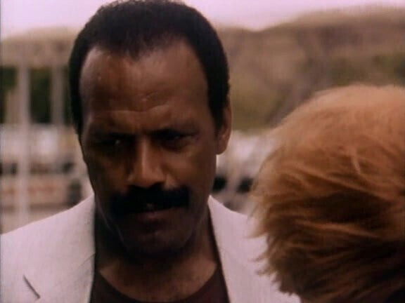Robin Trapp Fred Hammer Williamson softcore scene
