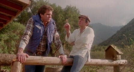 Corporate asset 1985