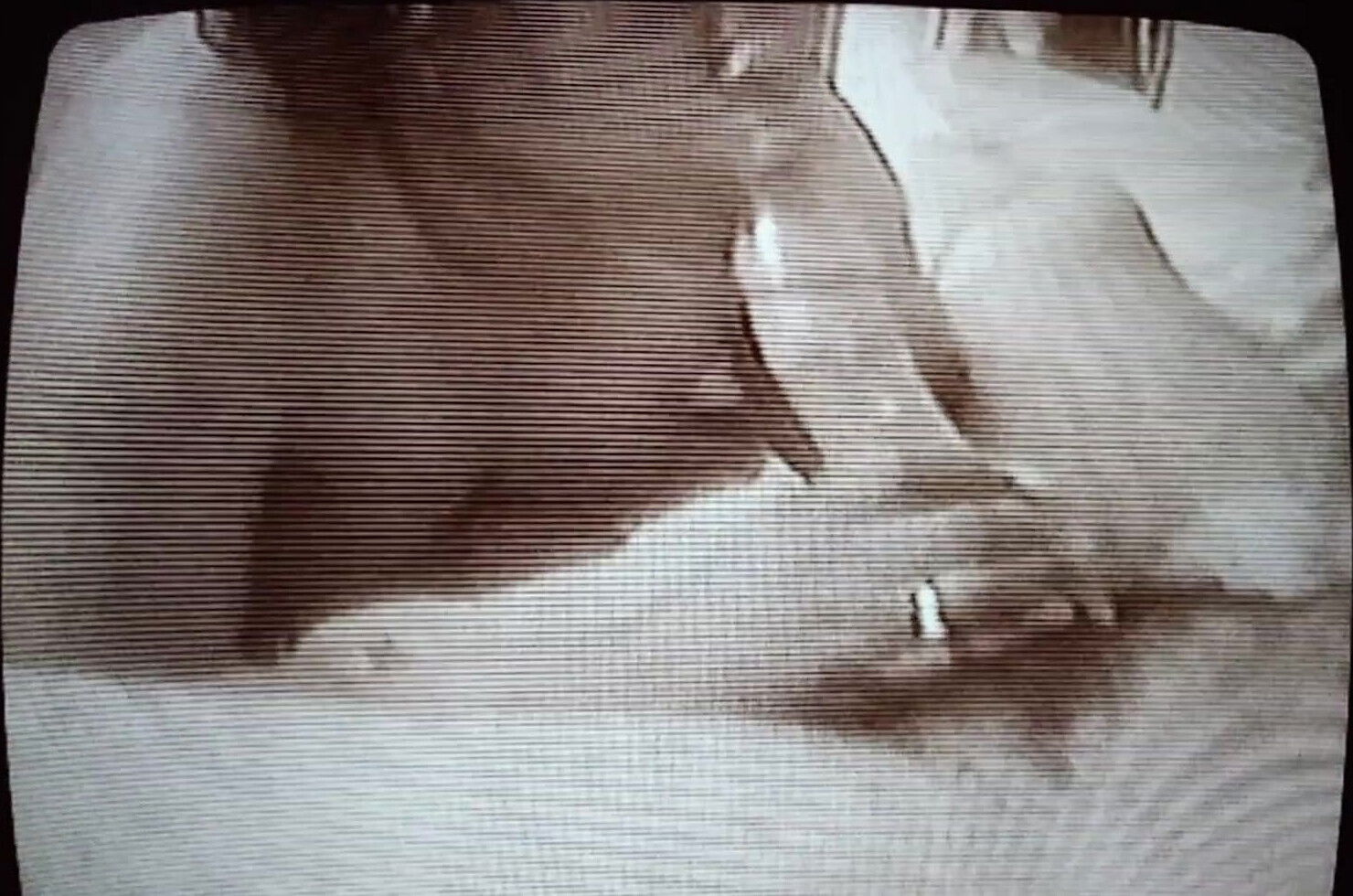 Jessica Hardy is back..with that head you have been missing