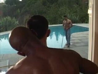 Black cocks in white jocks