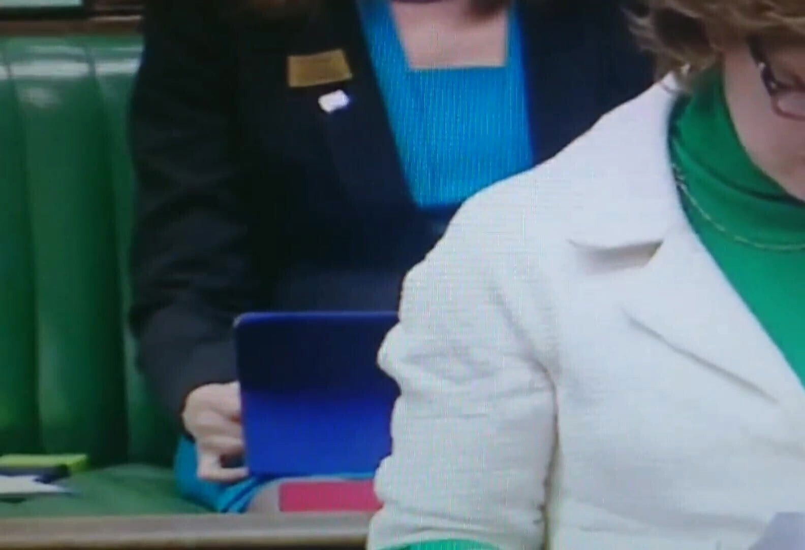 Crossing nylon legs in House of commens