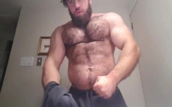 Hairy muscle bear