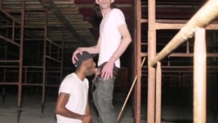 Gobble long white dick (white dudes lowkey winnin)