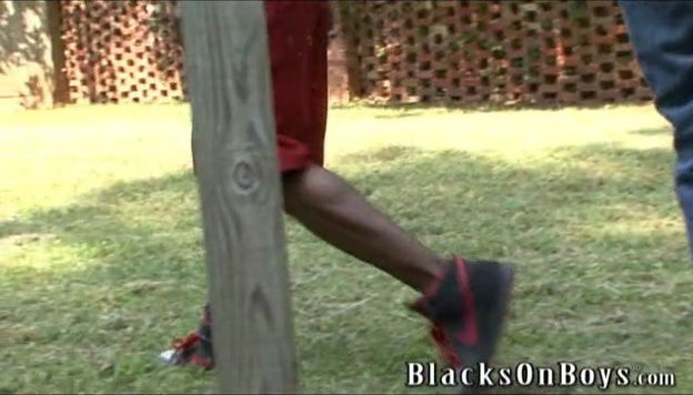 Bradley Wood - DogFartNetwork