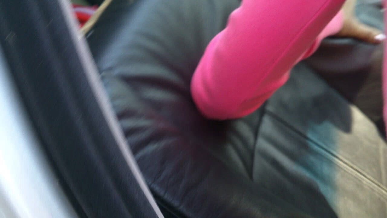 mom in doggistile in my car