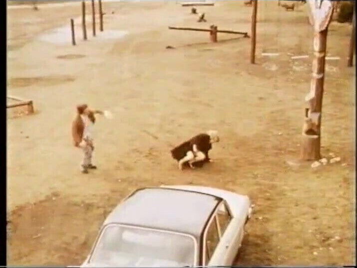 Erotik ohne maske (1973)