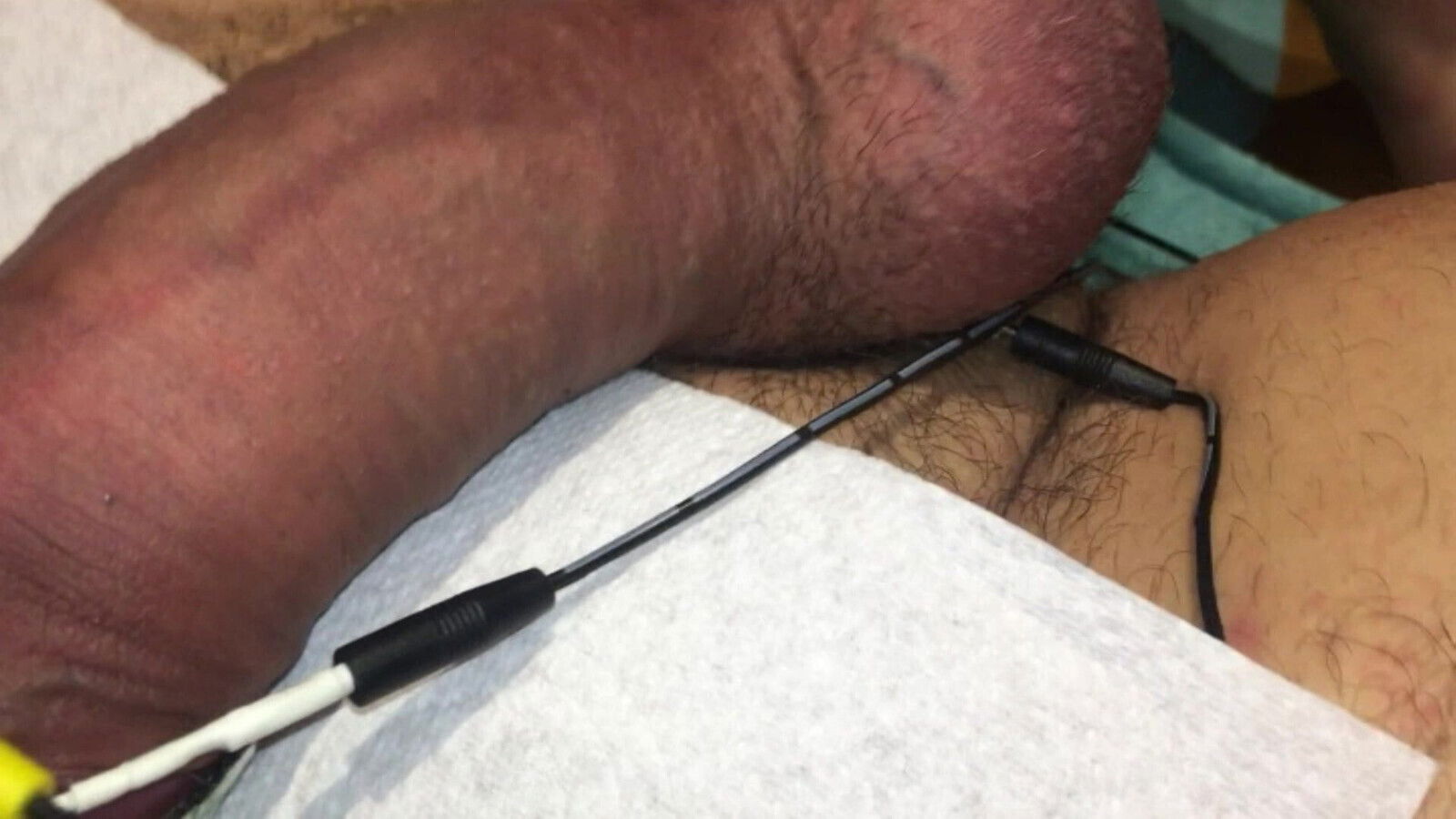 Bad dog gets a hard electro punishment