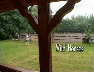 Michelle Wild (hongroise, brun foncé), Csoky & Frank