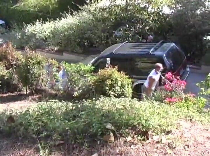 spring break fantasy