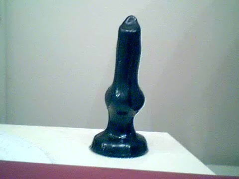 My 1St Toy - Kit Fox by Zeta Paws