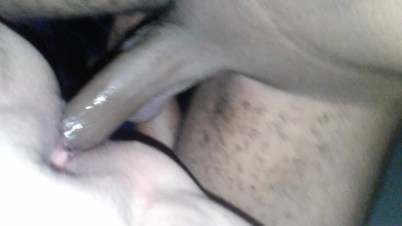 poundin a curvy woman