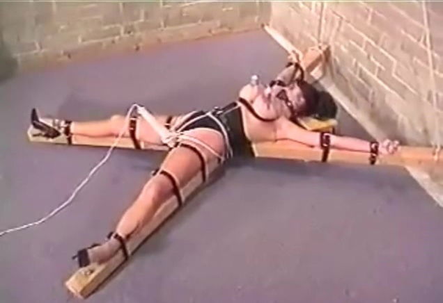 Let the Titties Light the Way