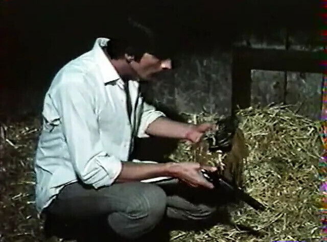 vintage sweet savage french