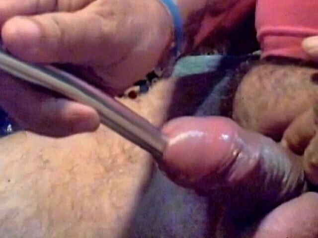 TODAY'S DAILY DICKIN' 5