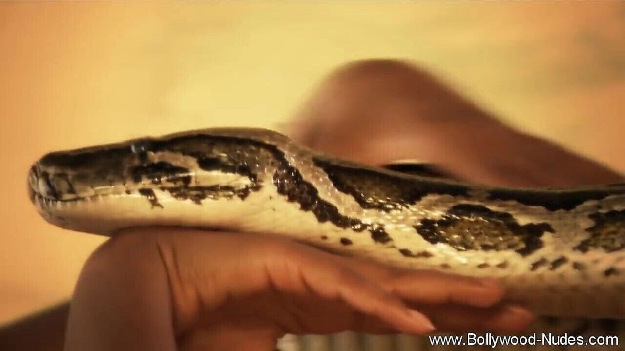 Brunette Showing Stuff Intimate Fantasy