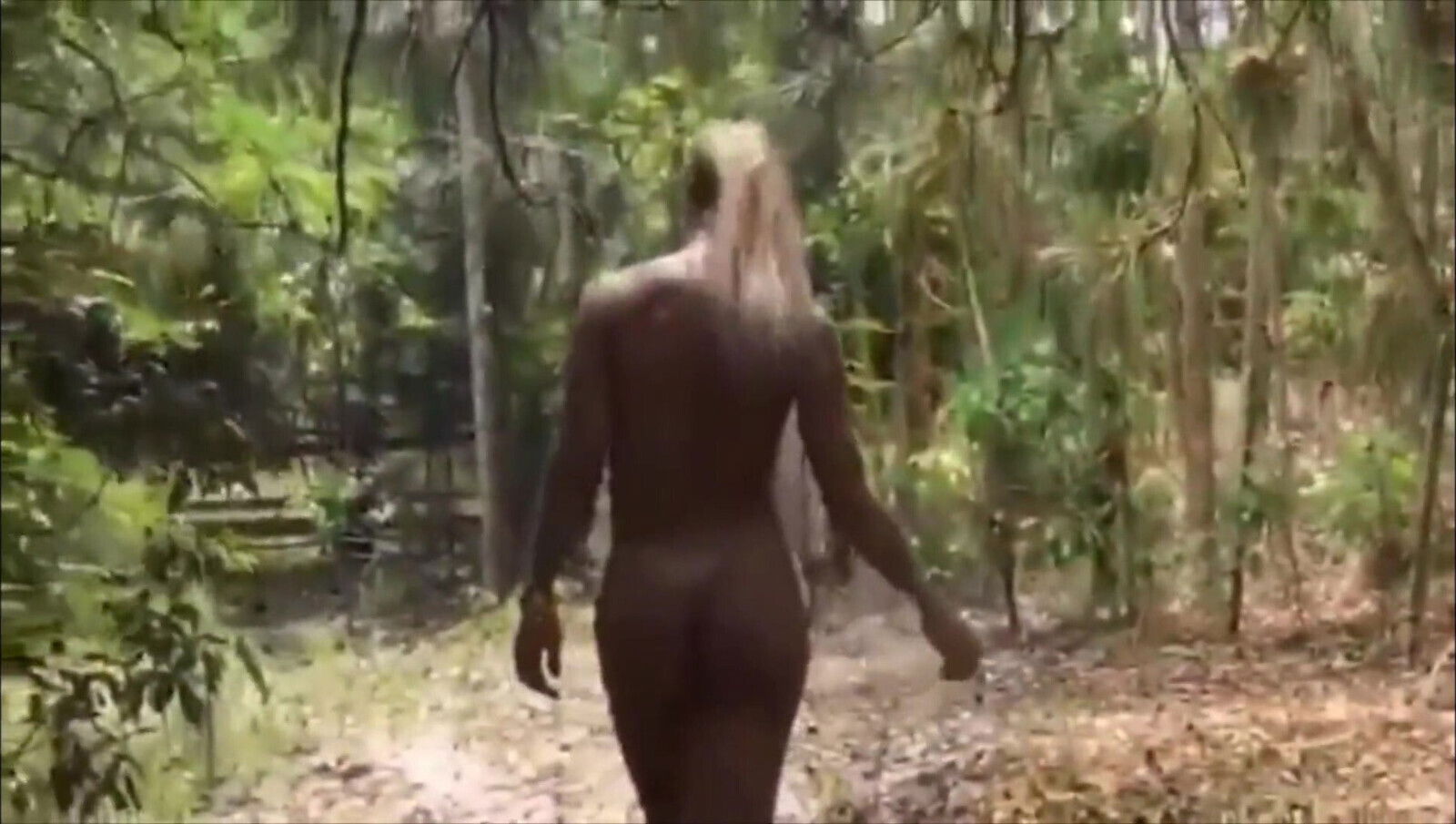 Brazilian transgender women compilation