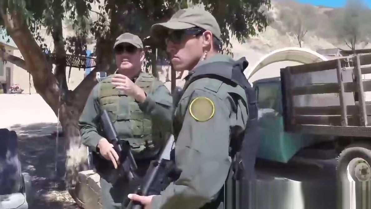 Latina Selma sucks agents freedom