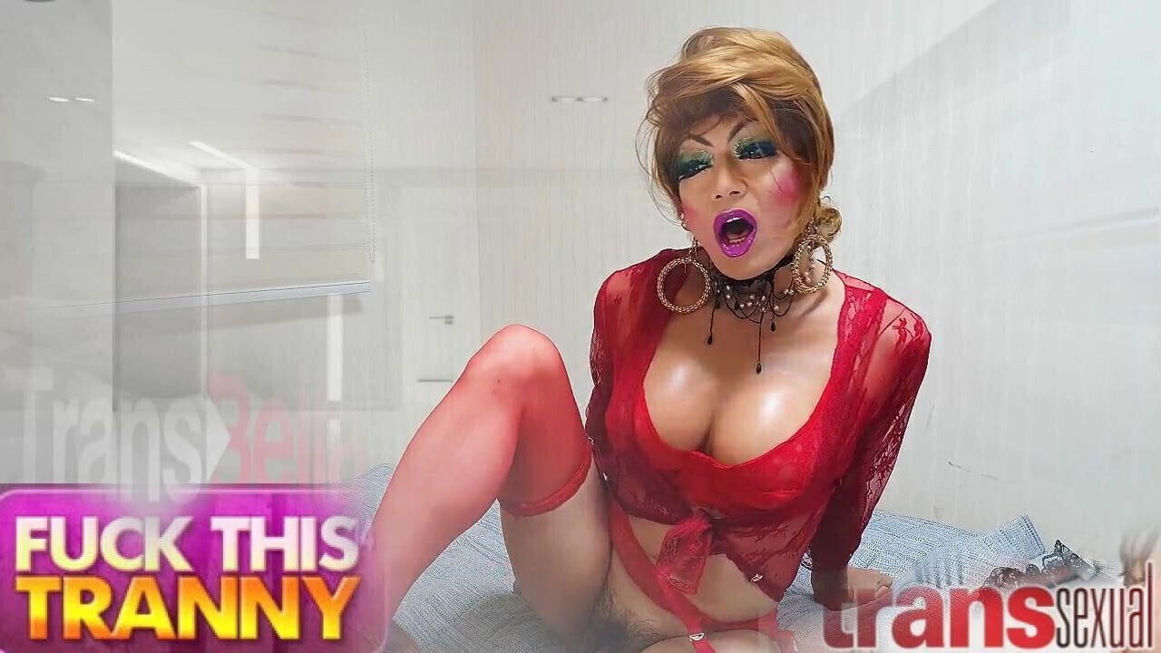 Shemale Pornstar Niclo (8)