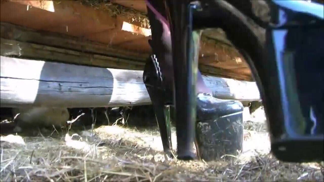 Chocolate Mouse Latex and pantyhose tease