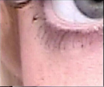 Groove2000 Erica Molly