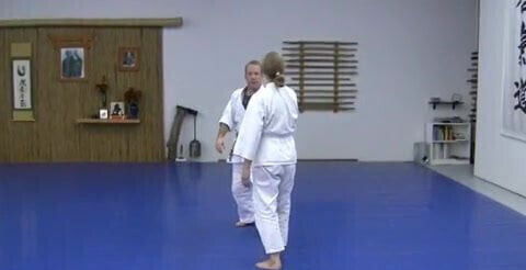 KEMPO ALMIGHTY AIKIDO KENPO