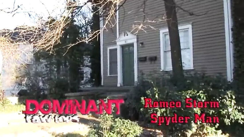 Black Stallions Domination