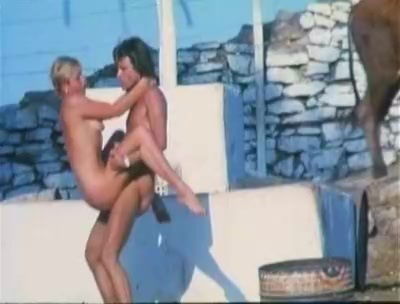 heisse Liebe eines Sommers