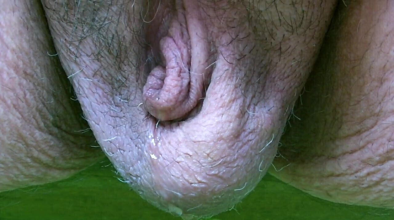 Close-up really minute uncut willy doing dribbly
